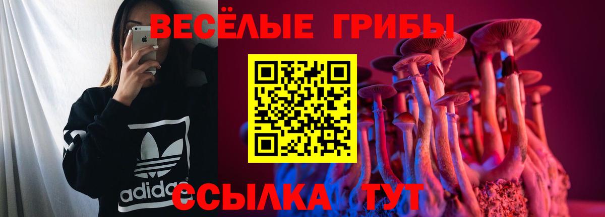 купить наркотики цена  Вход с VPN  Галлюциногенные грибы ЛСД  Октябрьский  Псилоцибиновые грибы GOLDEN TEACHER 